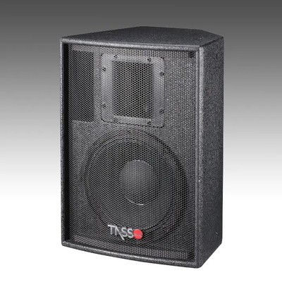 Big Power Installation Speaker CT100