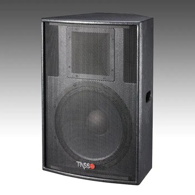 Big Power Installation Speaker CT500
