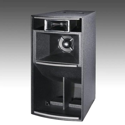 Big Power Installation Speaker CT1000