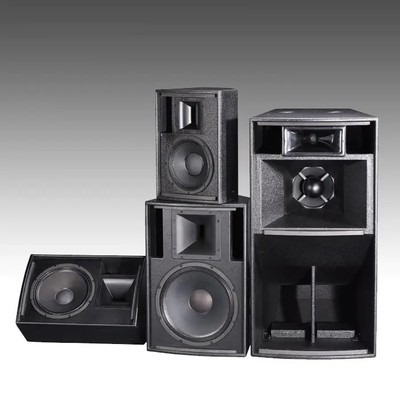 Big Power Installation Speaker CT300