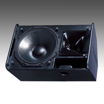 Professional Stage Monitor PS15