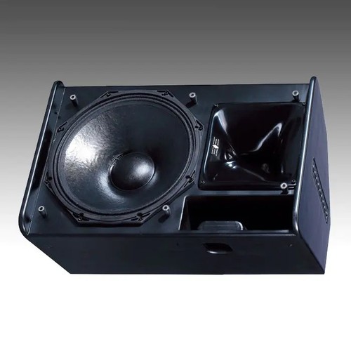 Professional Stage Monitor PS15