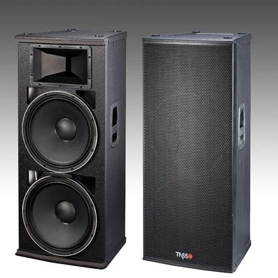 Active 2x15" Speaker PSA25